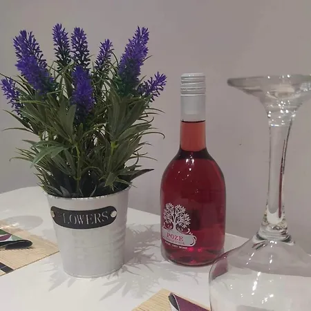 Appartement 2downtown.skg *